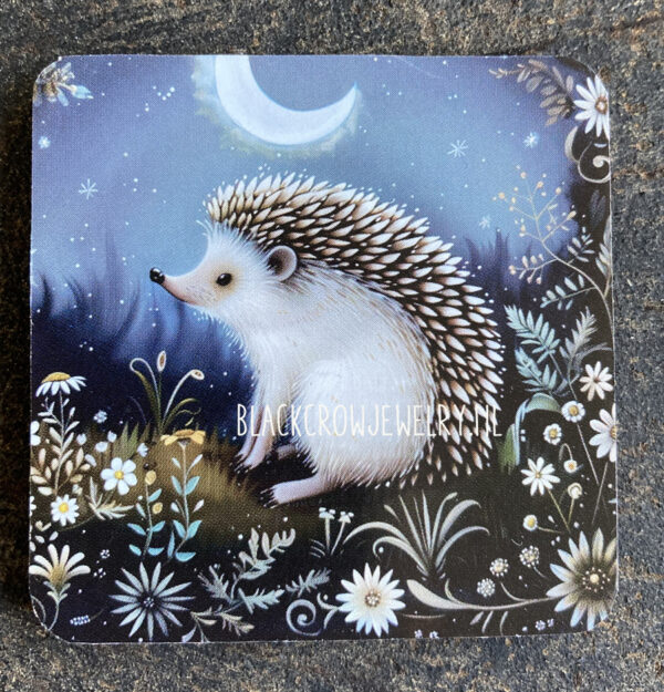 magneet egel